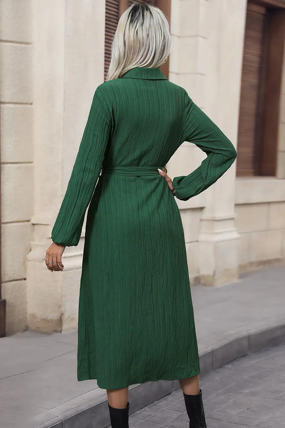 Texture Tied Collared Neck Button Front Dress, image 2