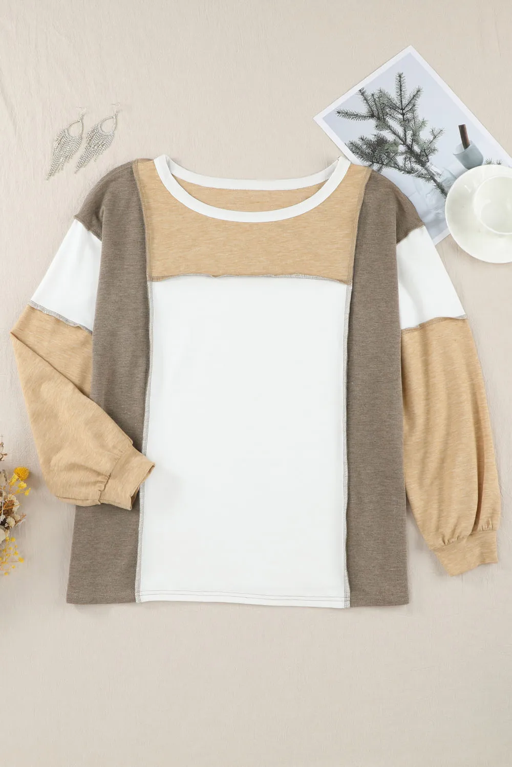 Exposed Seam Contrast Round Neck Long Sleeve Top, image 5