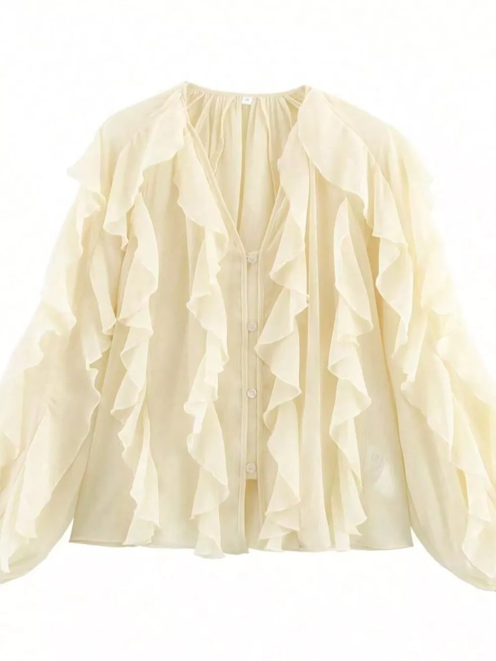 Ruffled Sheer Long Sleeve Blouse, image 2