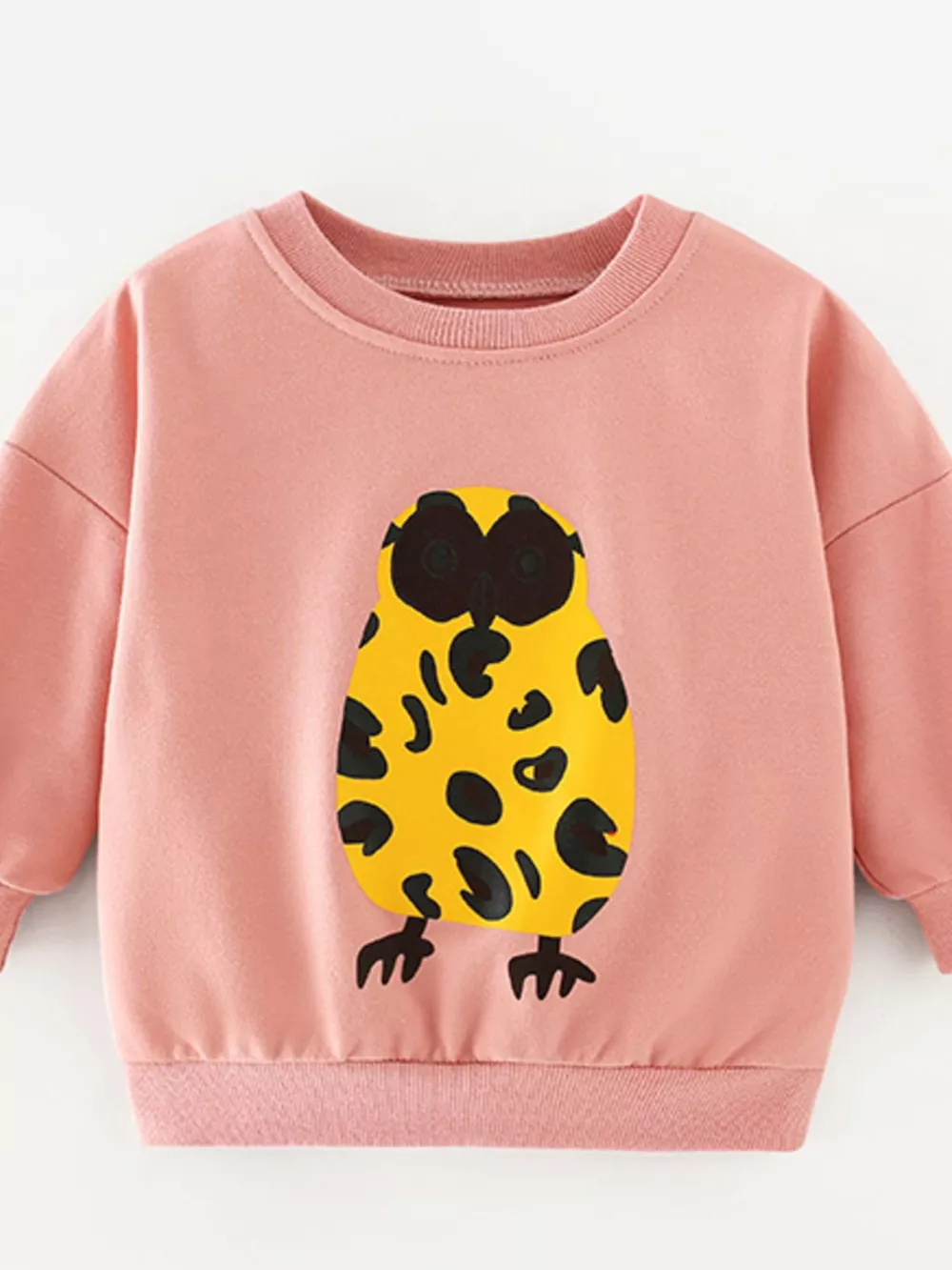 Children's Owl Graphic Crew Neck Sweatshirt, image 2