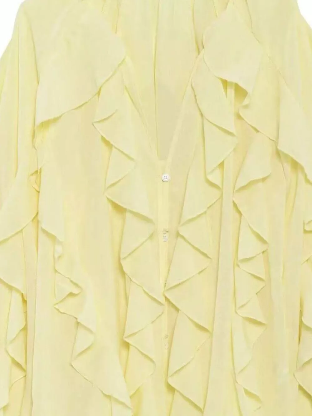 Ruffled Sheer Long Sleeve Blouse, image 3