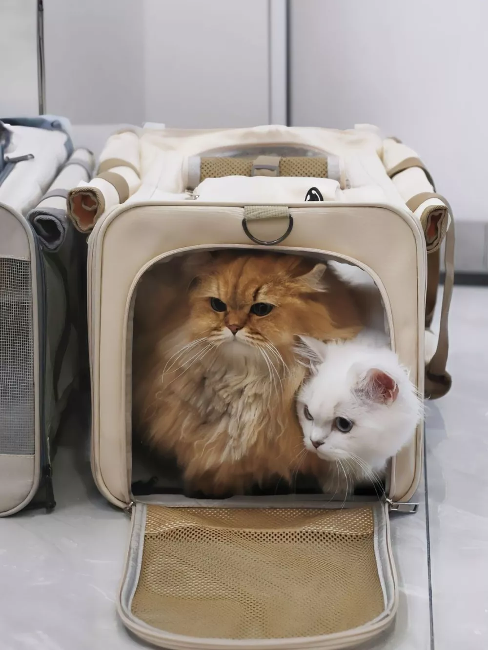Comfortable Breathable Pet Carrier Bag