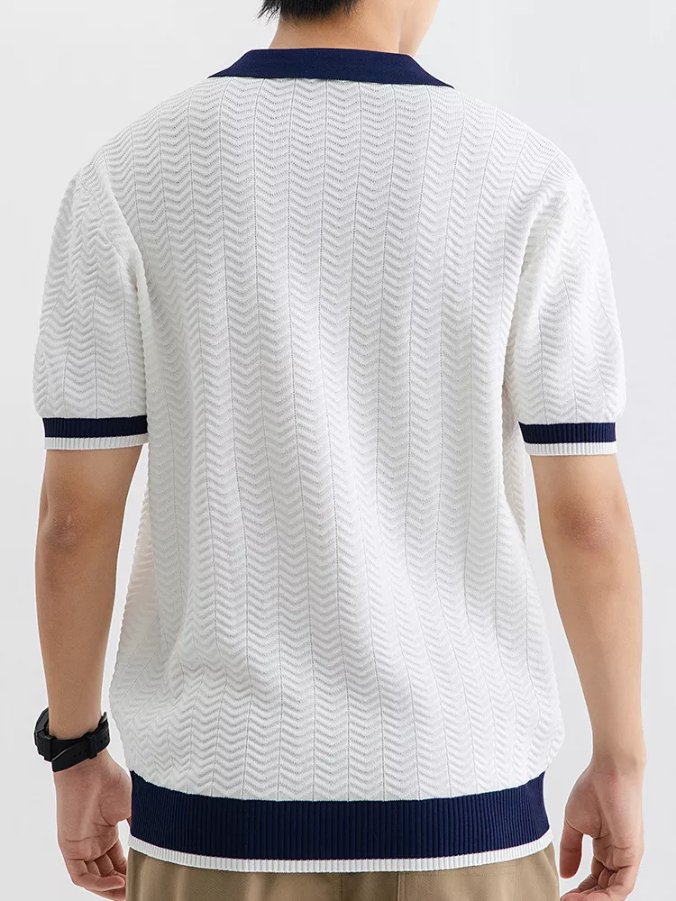 Men's Plus Size Textured Knit Polo with Contrast Trim, image 5