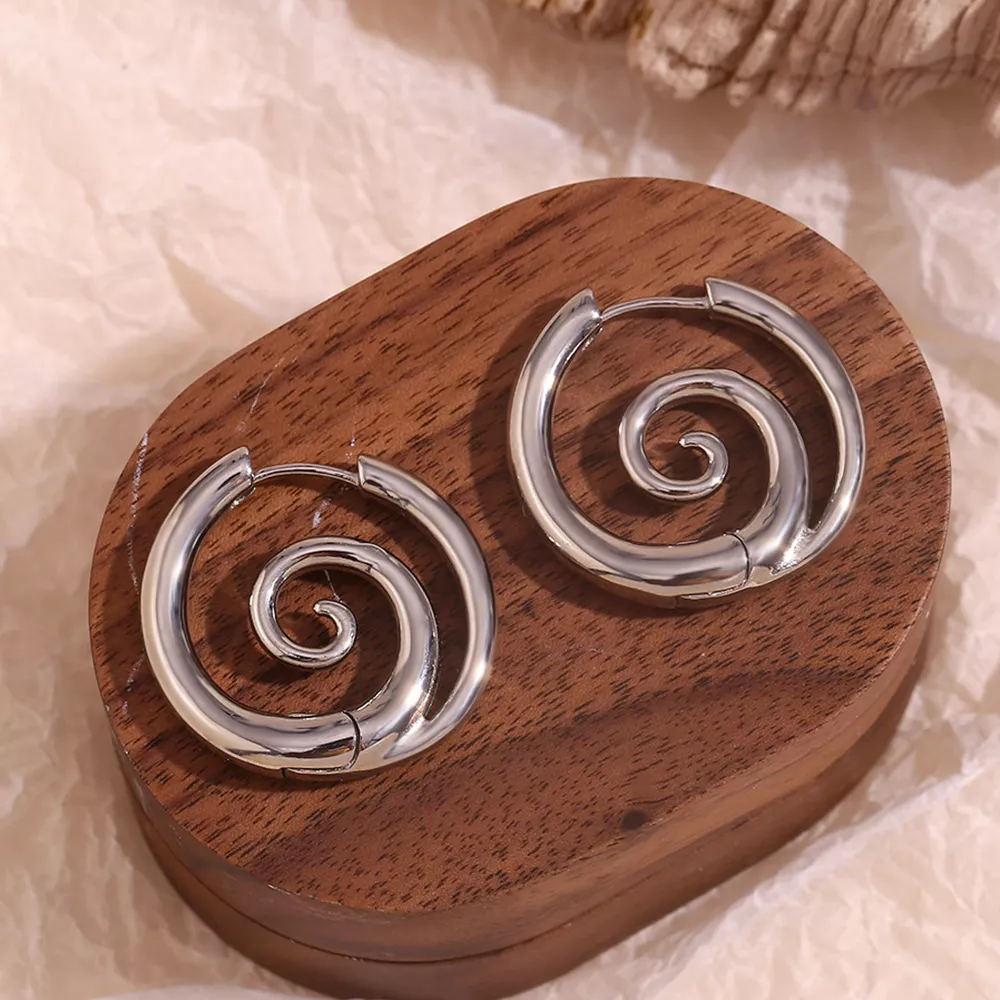 Stainless Steel Spiral Hoop Earrings, image 9
