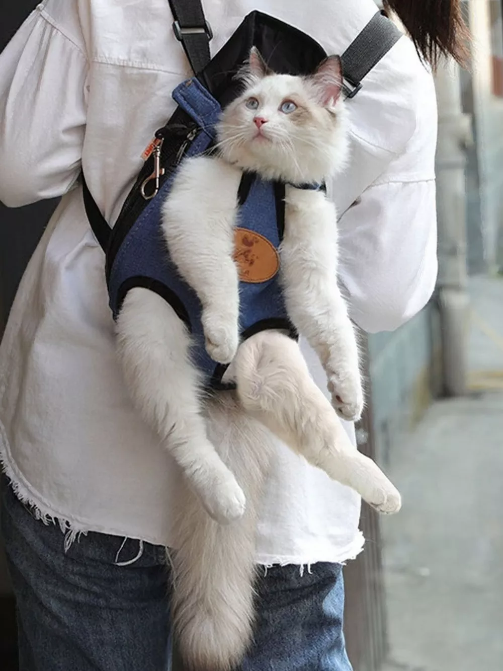 Adjustable Straps Pet Carrier Backpack, image 2