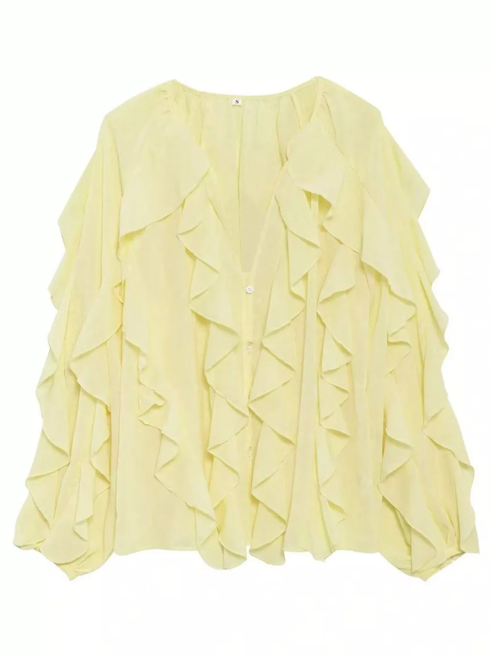Ruffled Sheer Long Sleeve Blouse, image 5