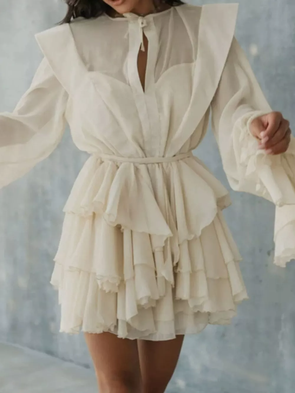 Ruffled Long Sleeve Mini Dress, image 2