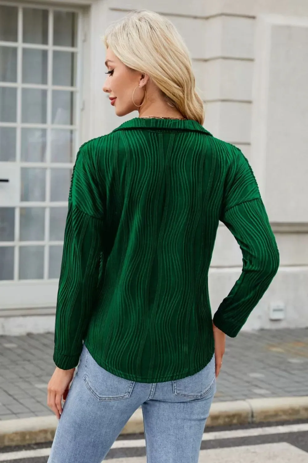 Texture Collared Neck Long Sleeve Blouse, image 4