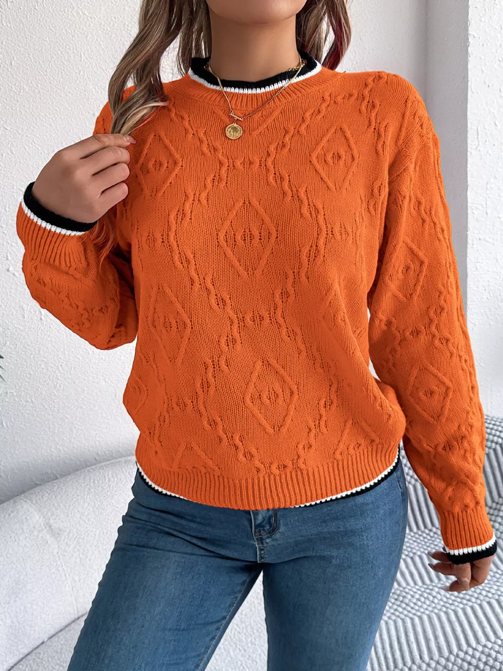 Contrast Trim Round Neck Sweater, image 16