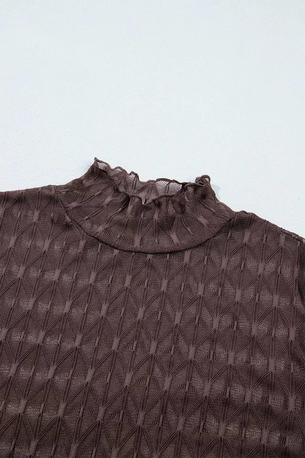 Sheer Textured Lace Stand Neck Long Sleeve Top, image 5