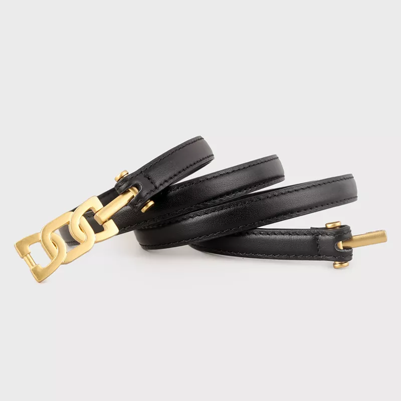 Gold Buckle Skinny Leather Belt