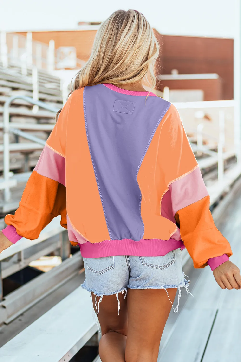 Color Block Round Neck Long Sleeve Top, image 3