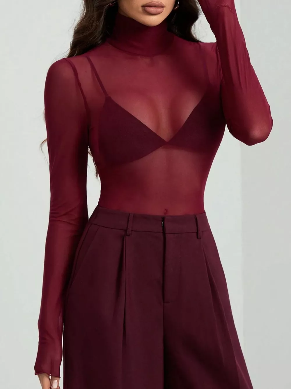 Sheer Mesh Turtleneck Top, image 6