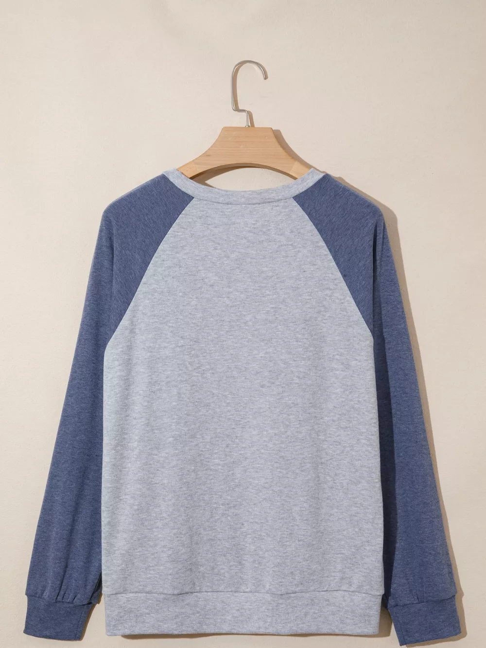 Color Block Flower Embroidered Patch Graphic Raglan Long Sleeve Top, image 5