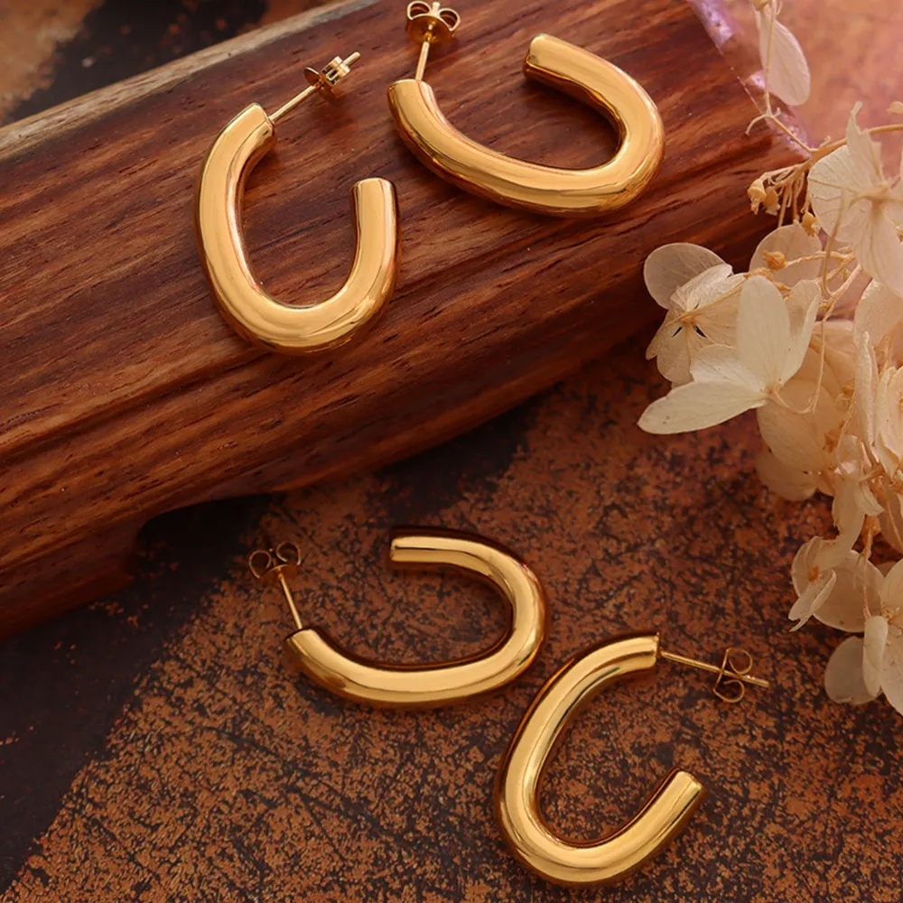 Titanium Steel Gold-Plated Earrings, image 4