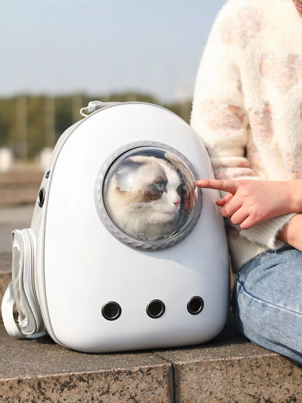 Space Capsule Transparent Pet Carrier Backpack, image 10