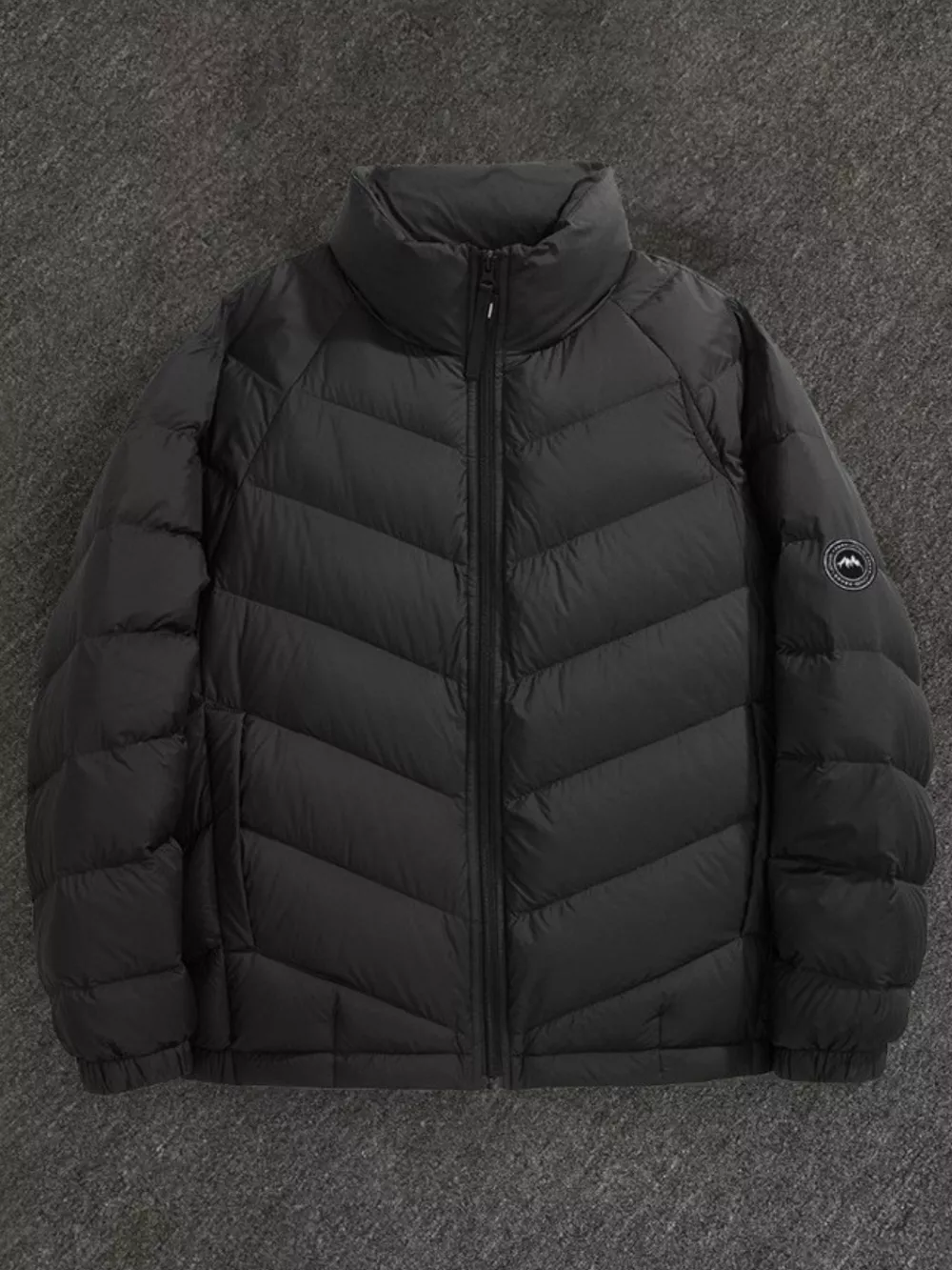 Men's Plus Size Zip Up Stand Collar Down Jacket
