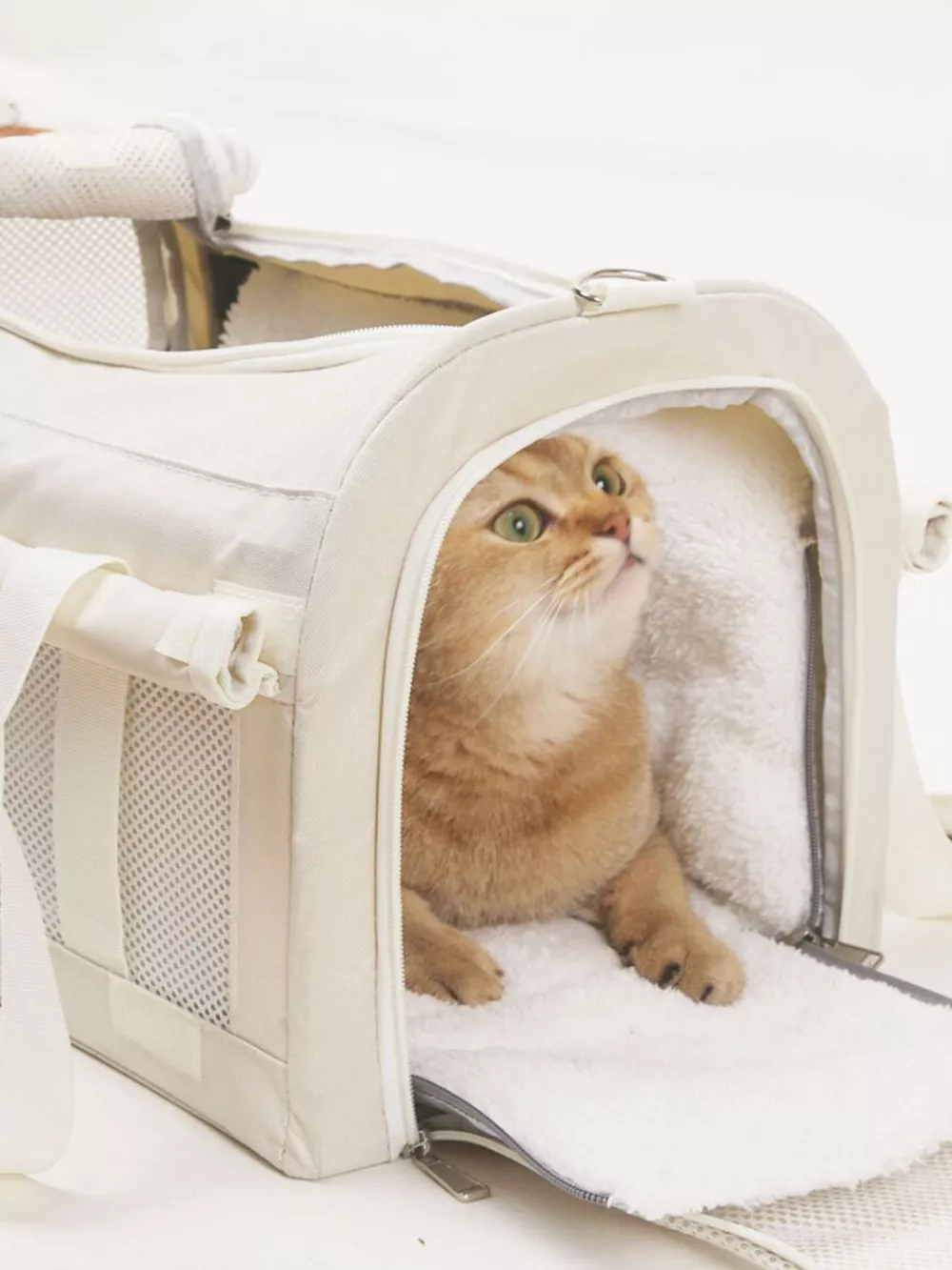 Comfortable & Breathable Pet Carrier Bag, image 3
