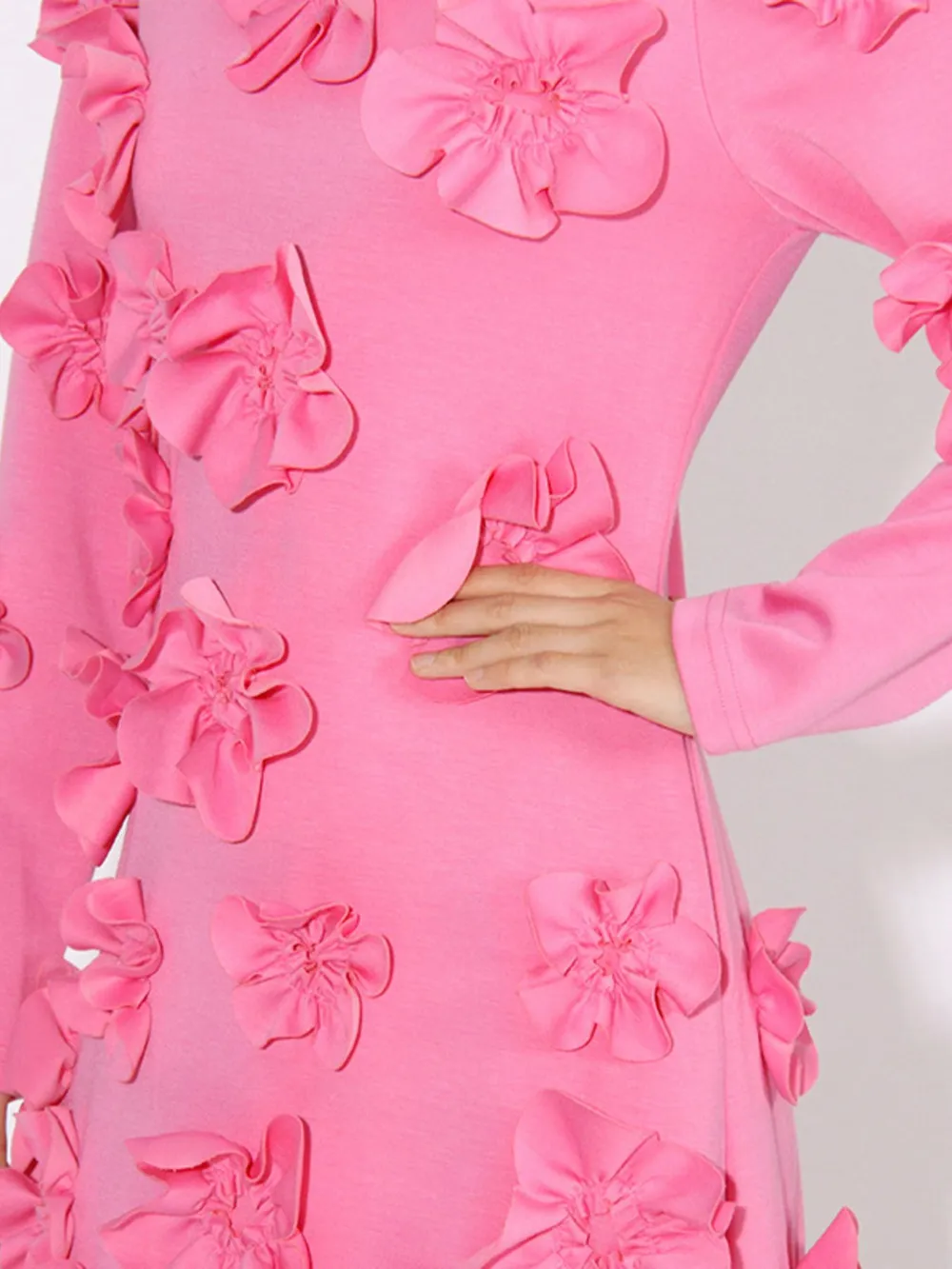 Floral Applique Long Sleeve Maxi Dress, image 2