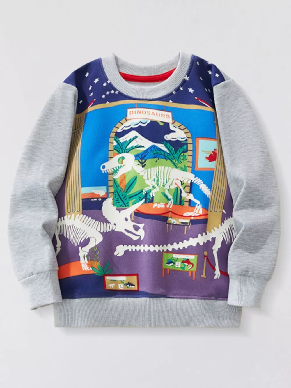 Children's Dinosaur Museum Graphic Crew Neck Sweatshirt