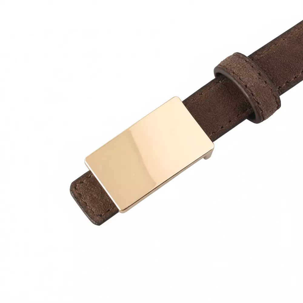 Gold Buckle Belt, image 5