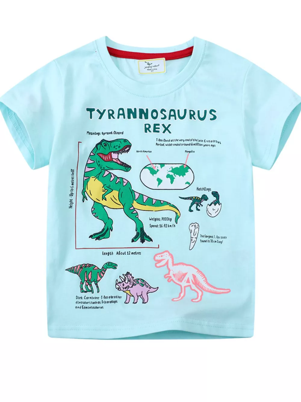Children's Dinosaur Graphic Short Sleeve T-Shirt
