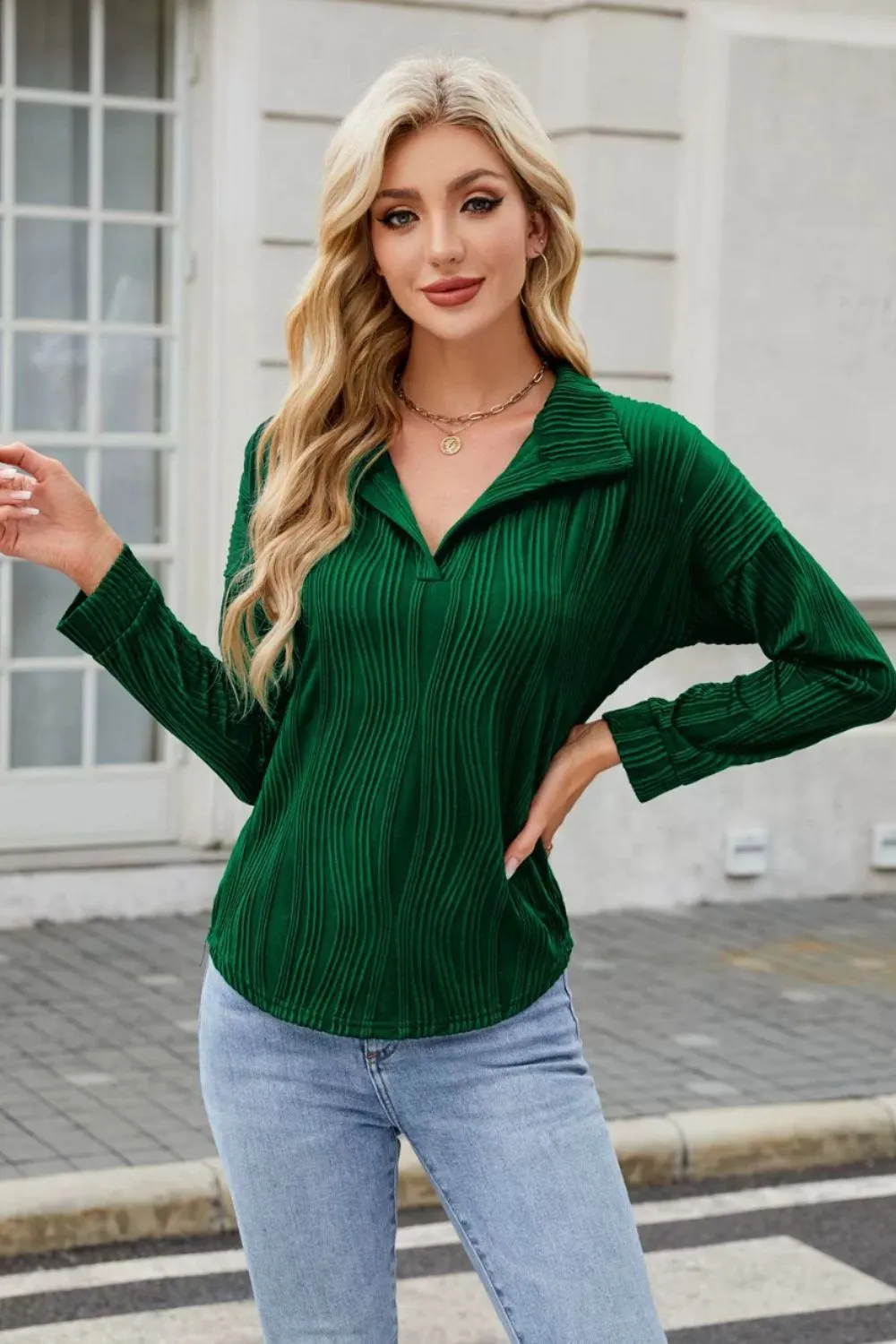 Texture Collared Neck Long Sleeve Blouse, image 5