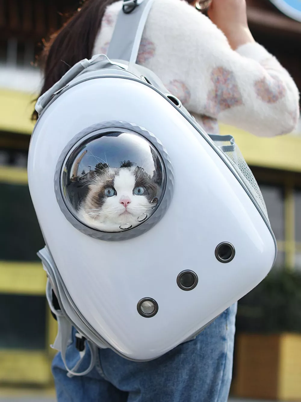 Space Capsule Transparent Pet Carrier Backpack, image 5