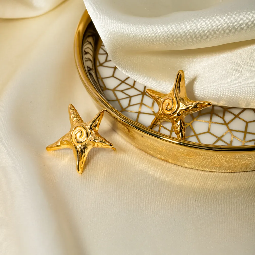 Stainless Steel Star Shape Earrings, image 3