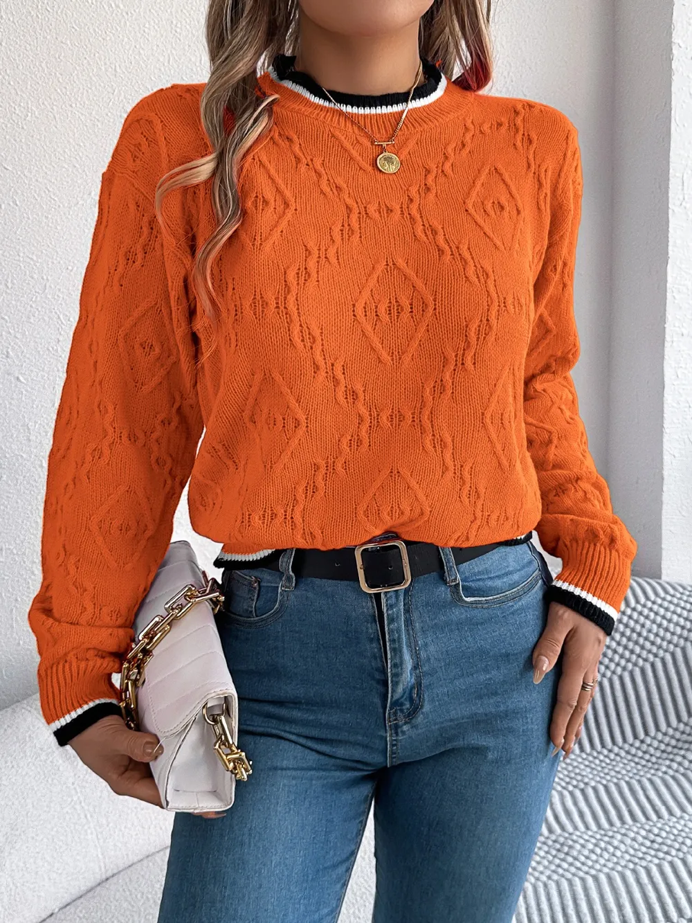 Contrast Trim Round Neck Long Sleeve Sweater, image 12
