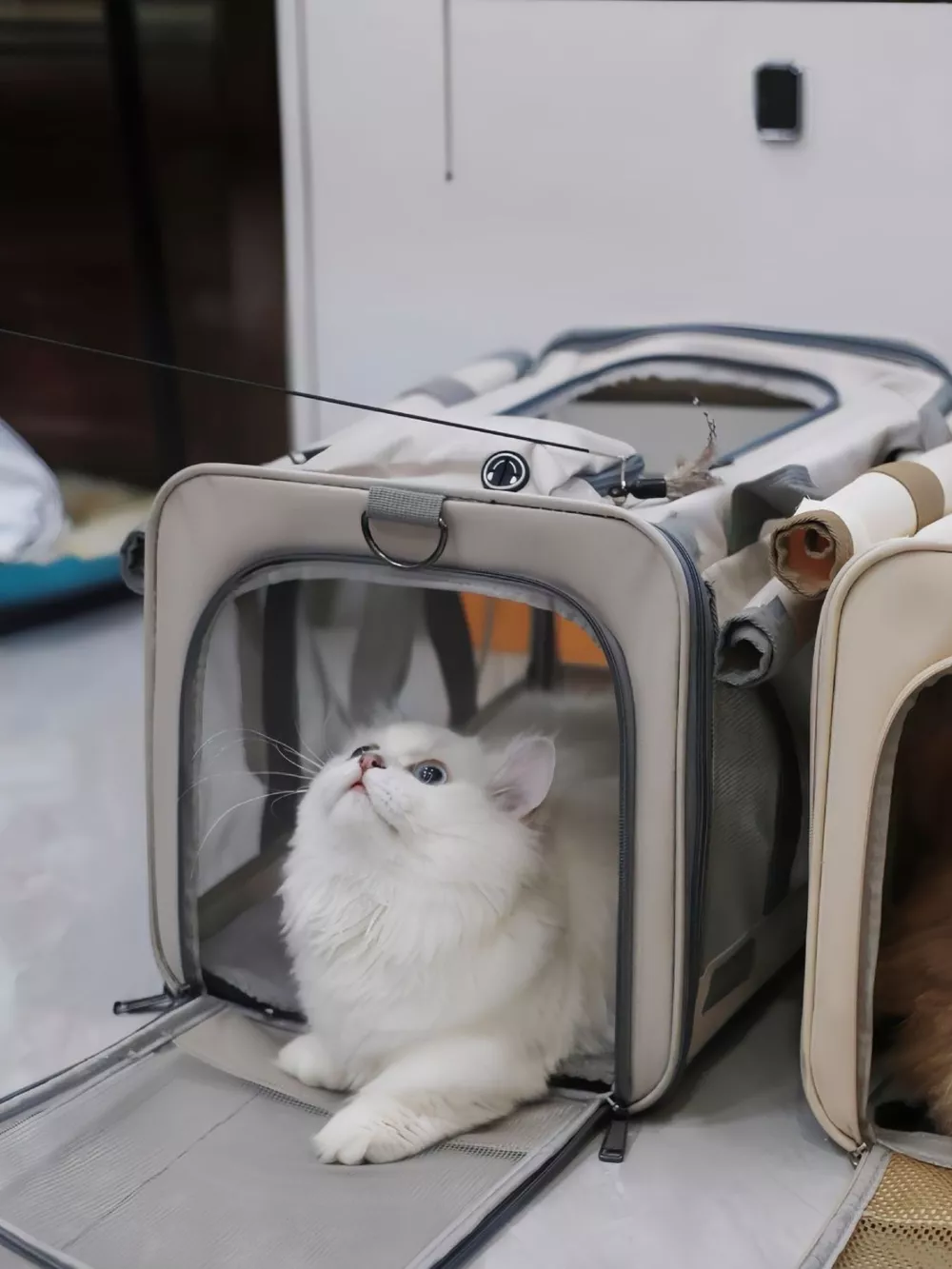 Comfortable Breathable Pet Carrier Bag, image 9