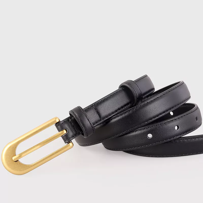 Gold Buckle Skinny Leather Belt
