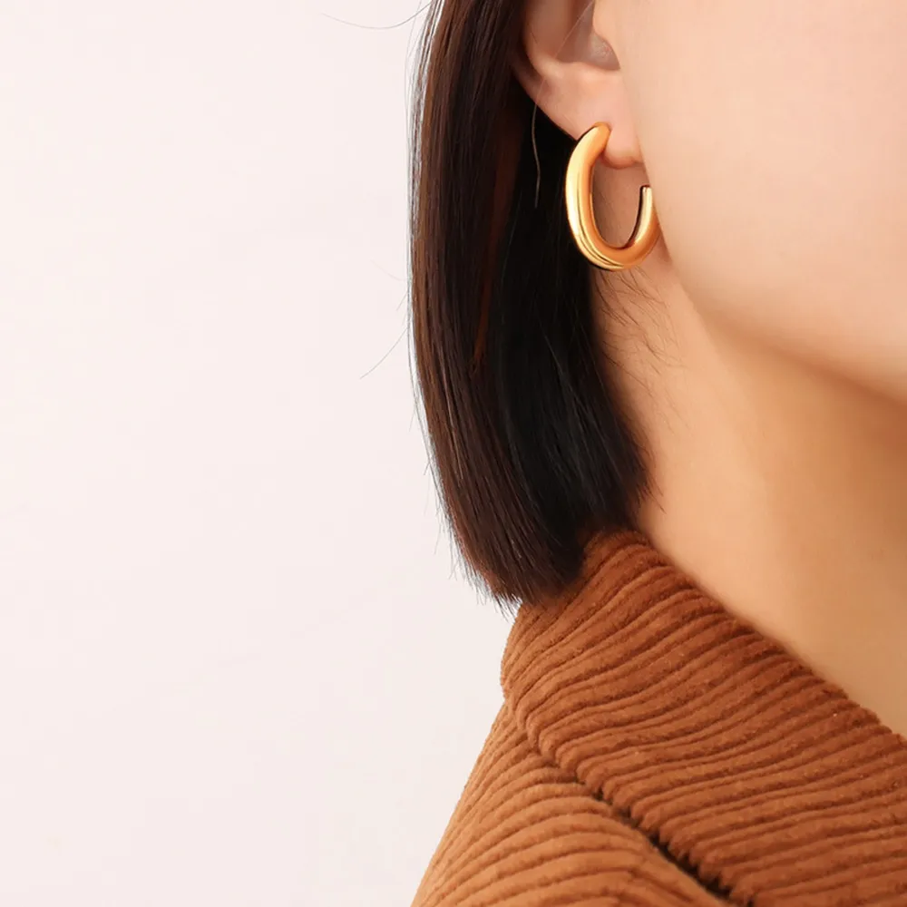 Titanium Steel Gold-Plated Earrings, image 2