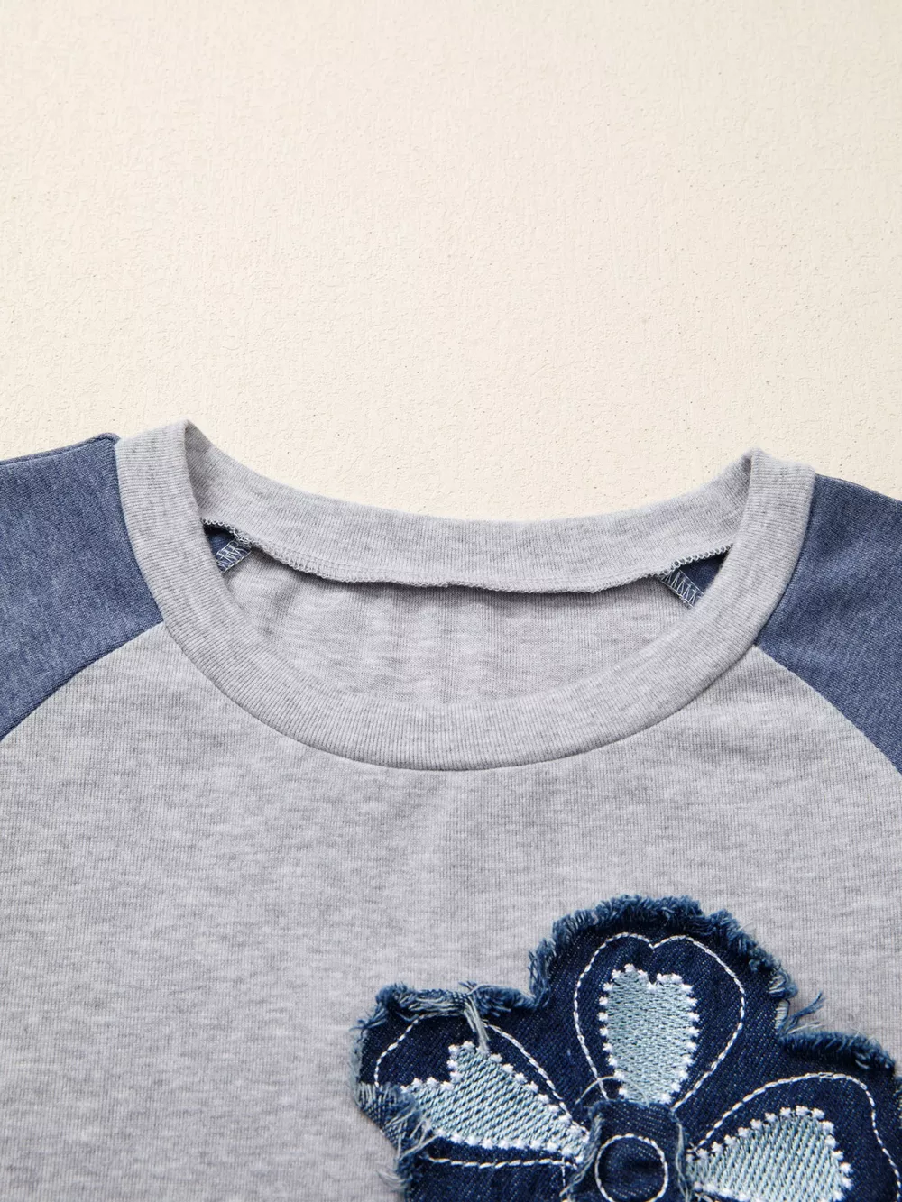 Color Block Flower Embroidered Patch Graphic Raglan Long Sleeve Top, image 6
