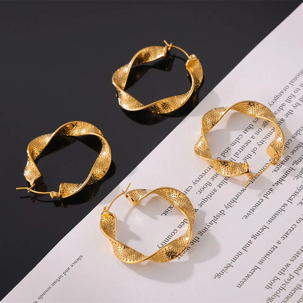 Titanium Steel Twisted Earrings, image 7