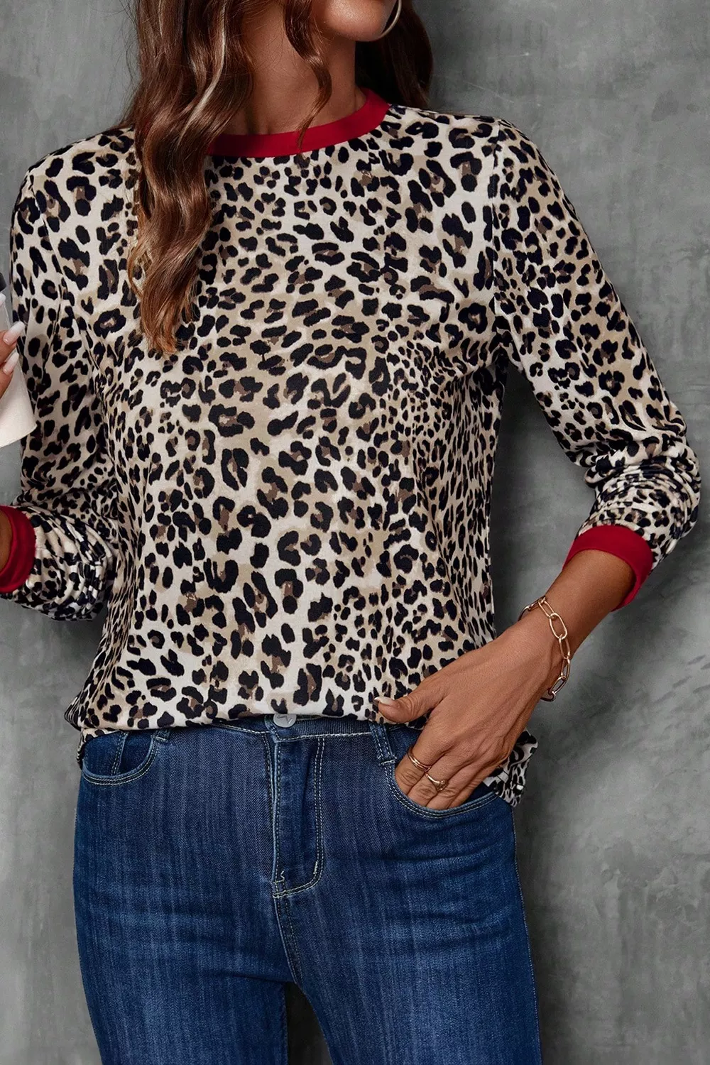 Leopard Print Long Sleeve Blouse