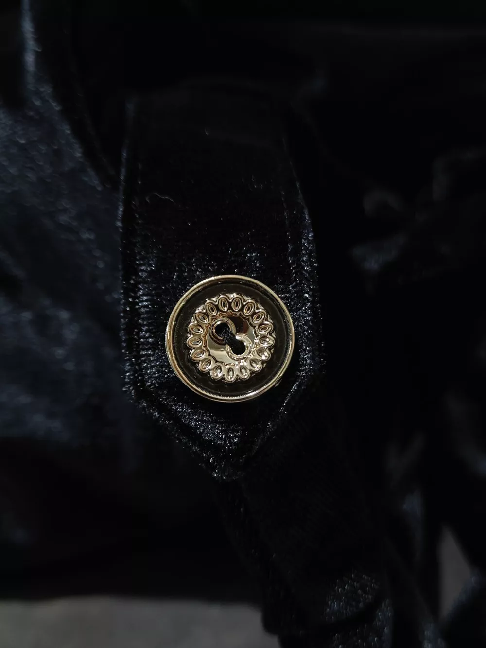 Velvet Button-Down Midi Dress, image 5