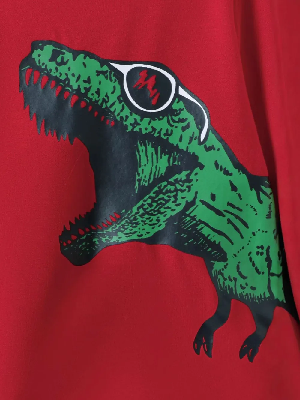 Dinosaur Round Neck Long Sleeve Top and Distressed Pants Set, image 4
