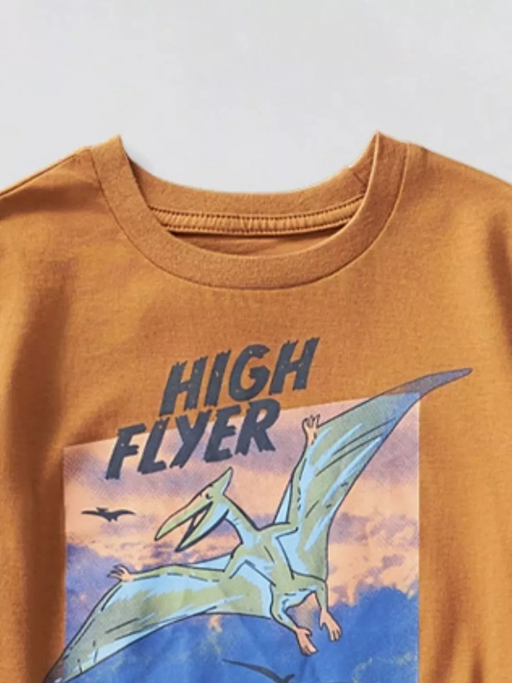 Children's Dinosaur Triceratops Graphic T-Shirt, image 5