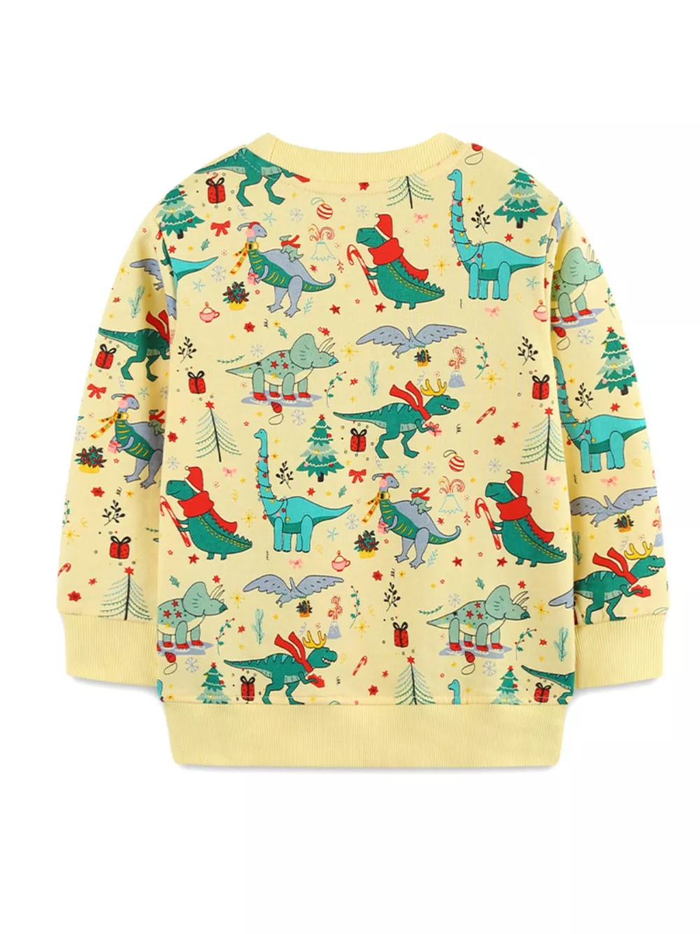 Children‘s Dinosaur Print Long Sleeve Sweatshirt, image 4