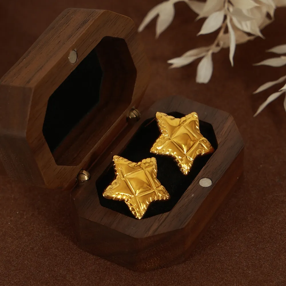 Titanium Steel Star Stud Earrings, image 2