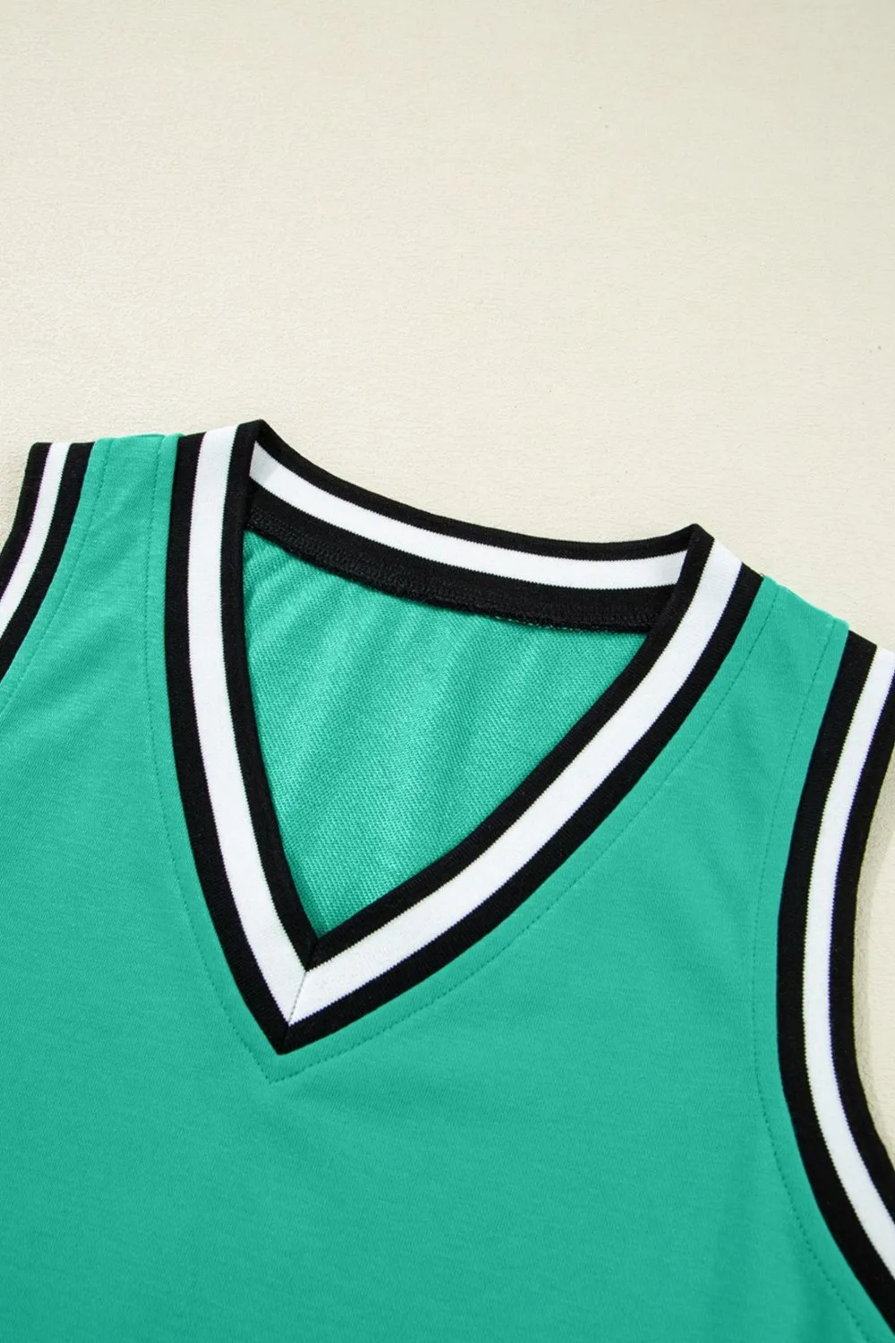 Color Contrast Trim V Neck Shift Sleeveless Mini Dress, image 4