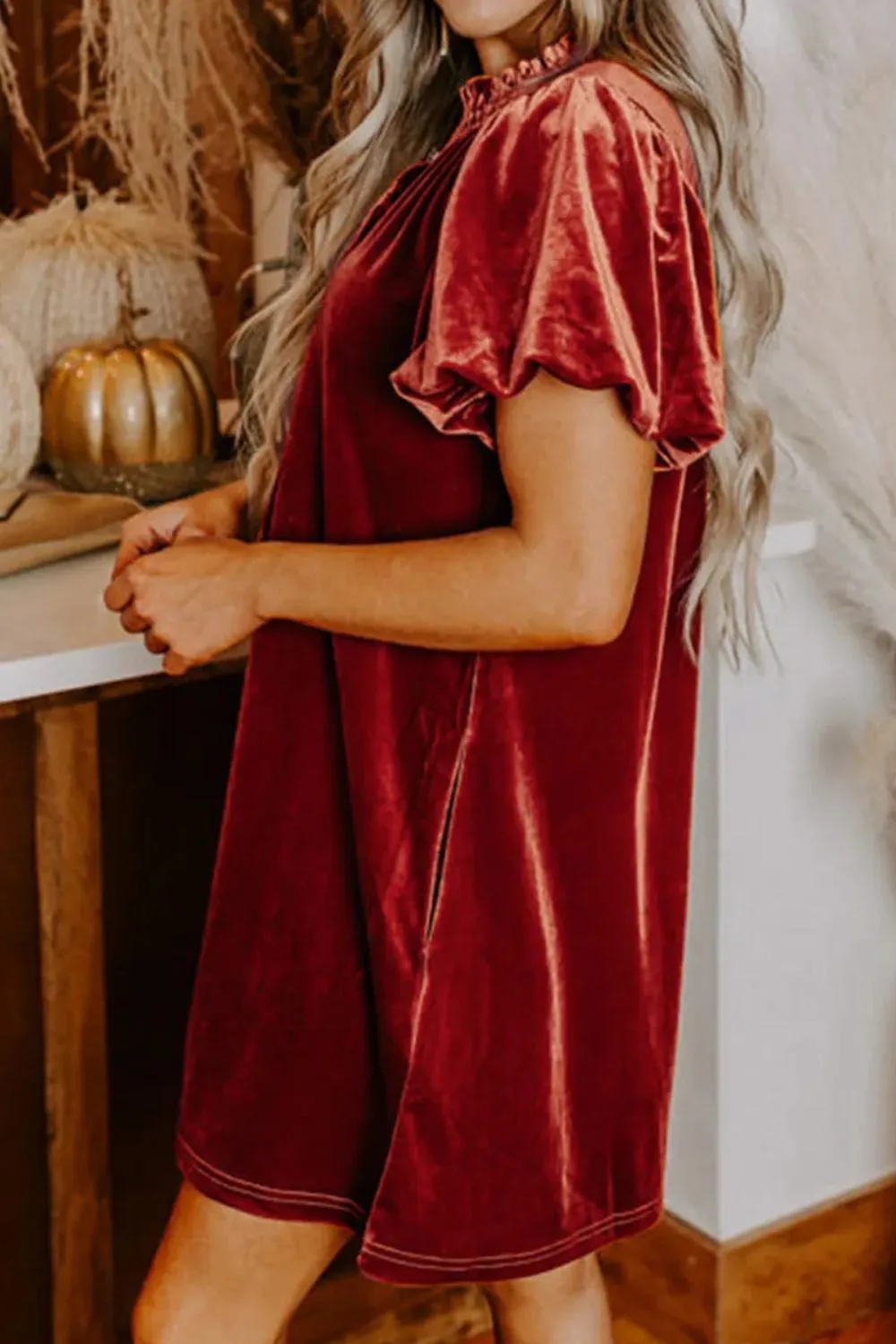 Velvet Tie Neck Short Sleeve Mini Dress, image 2