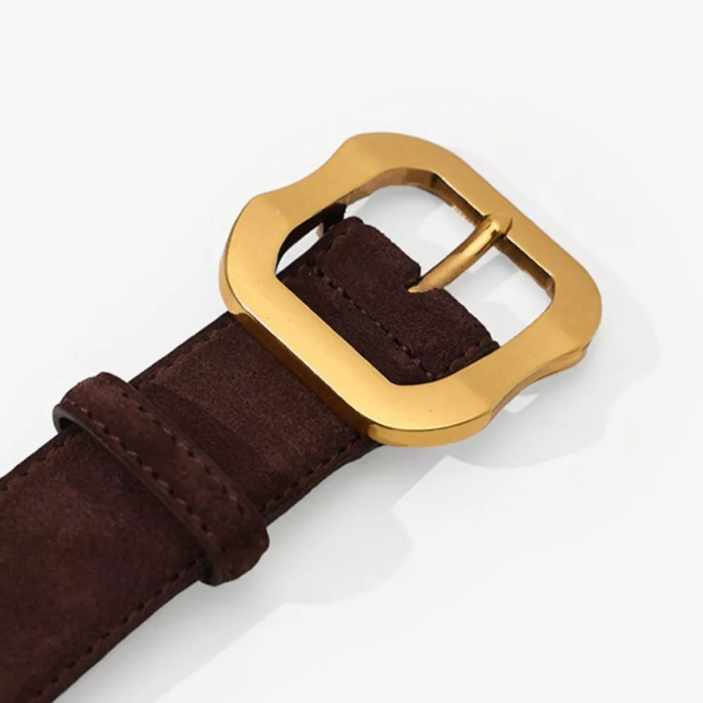 Golden Buckle Belt, image 4
