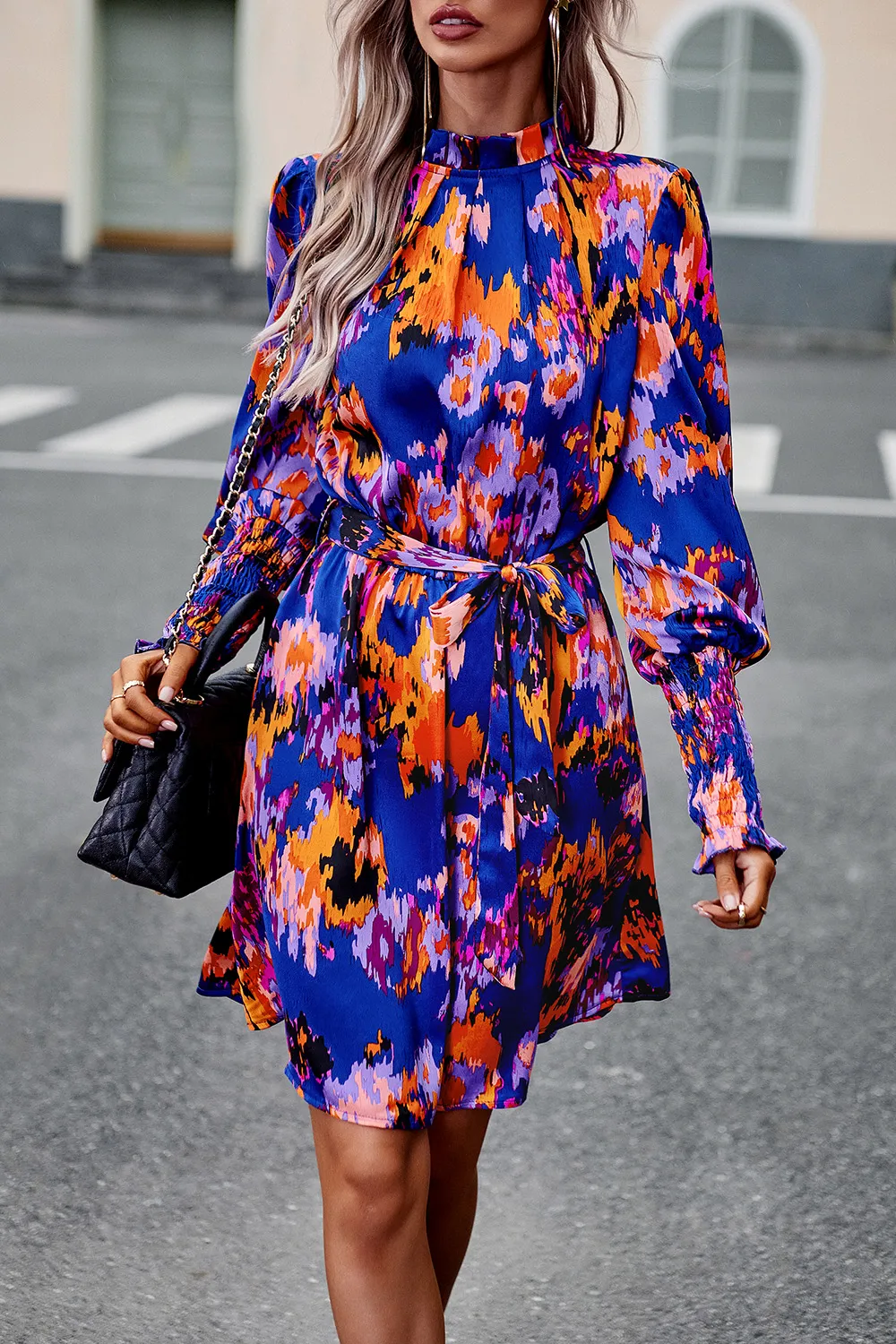 Printed Tie Waist Mock Neck Lantern Sleeve Dress, image 6