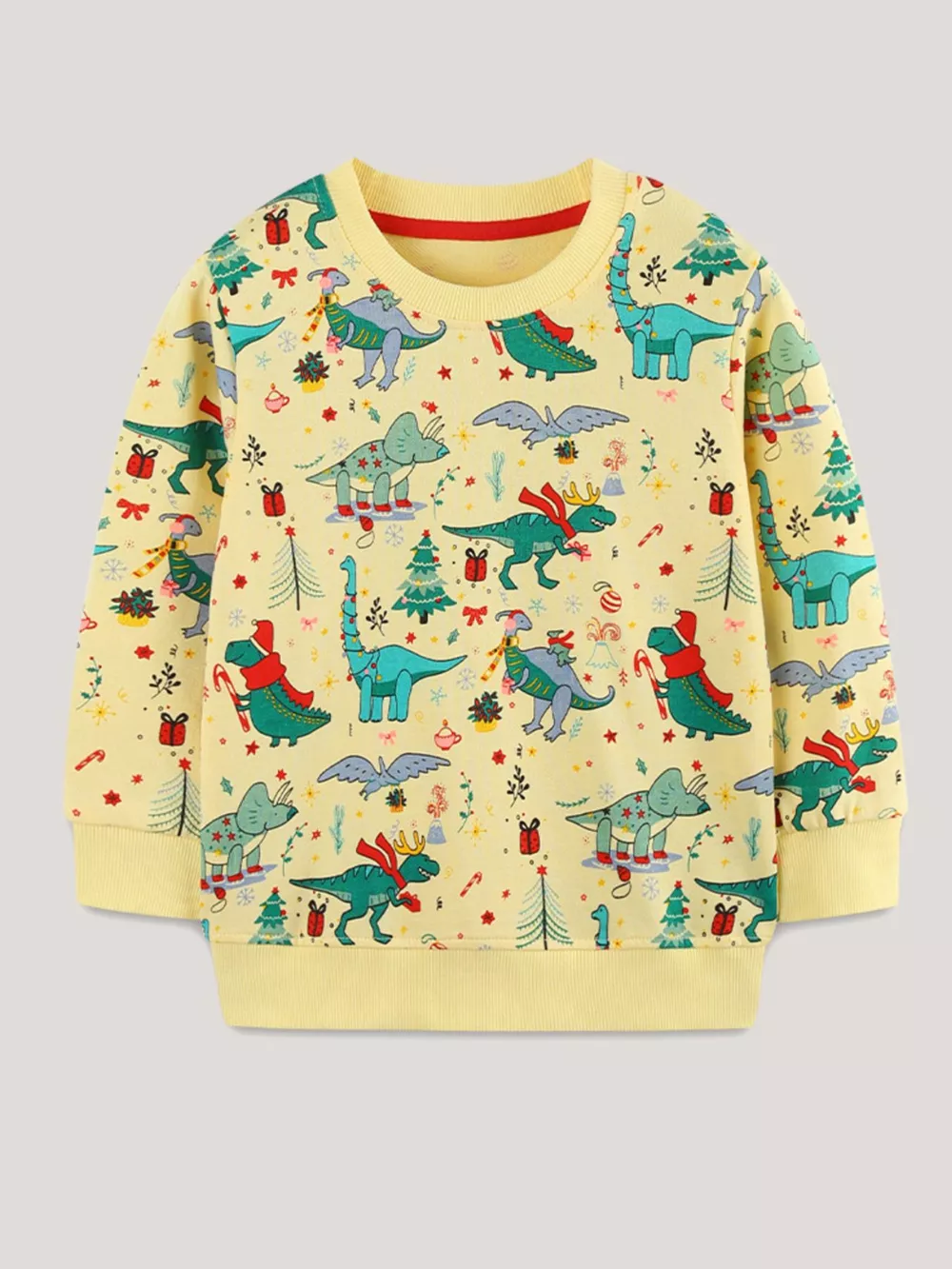 Children‘s Dinosaur Print Long Sleeve Sweatshirt