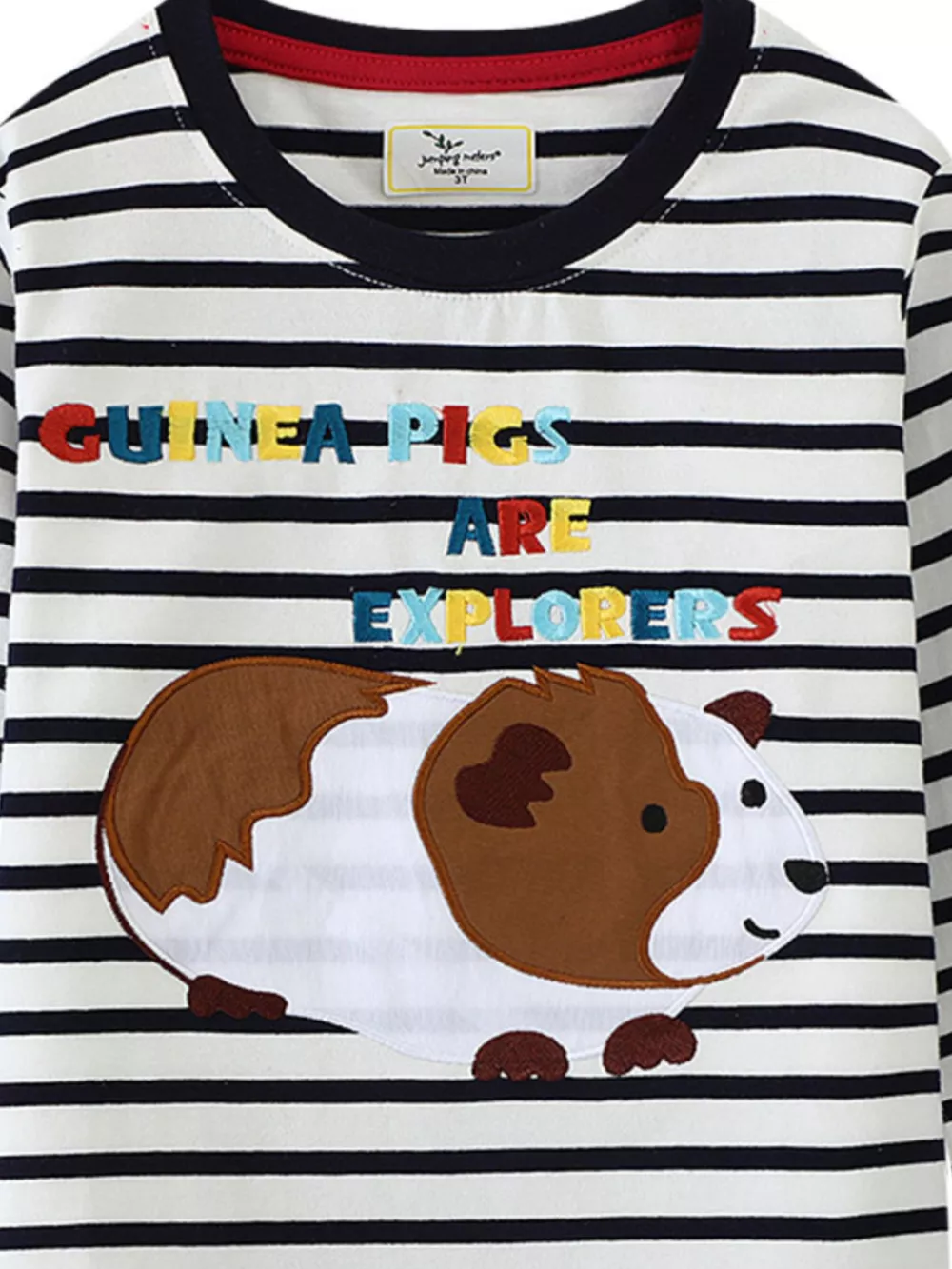 Children's Guinea Pig Explorer Striped Long Sleeve T-Shirt, image 3