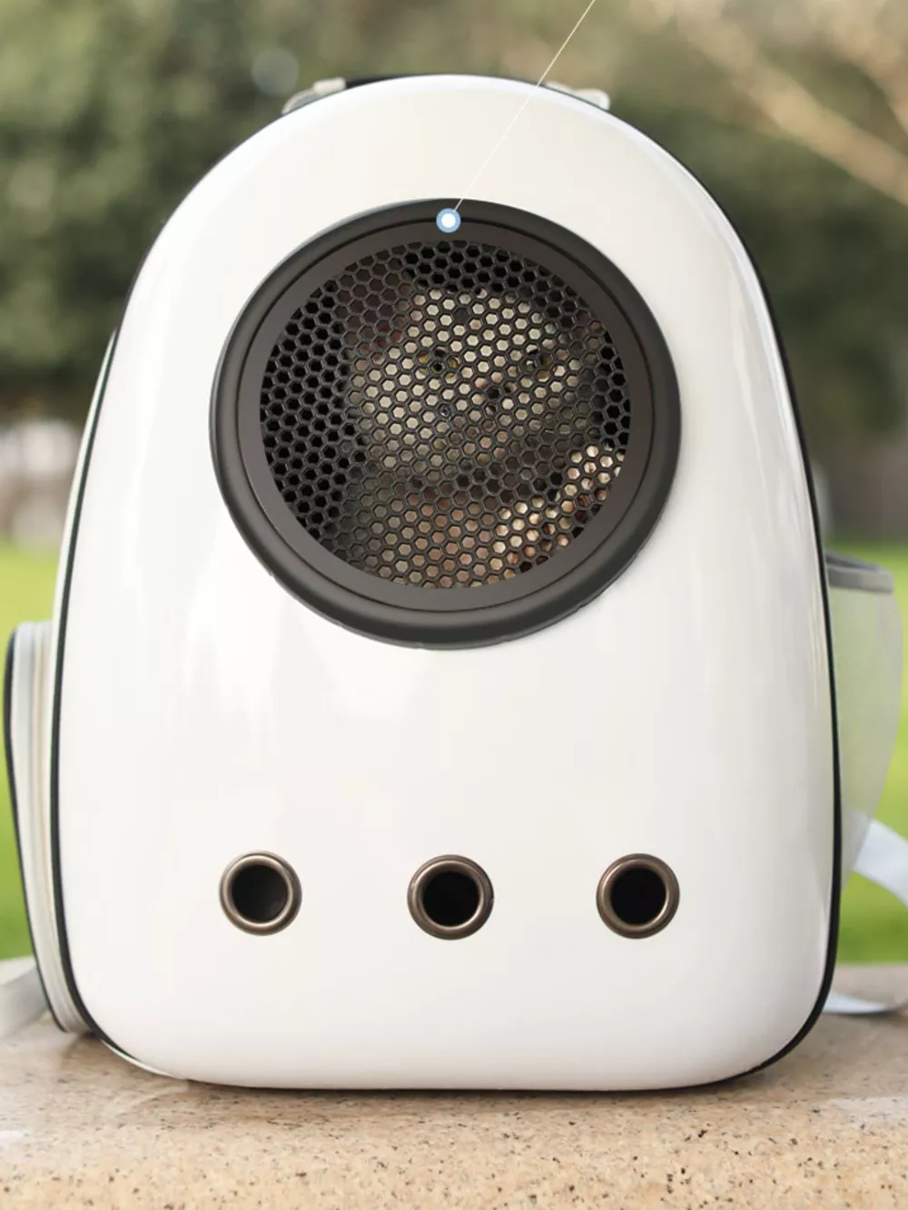 Space Capsule Transparent Pet Carrier Backpack, image 16
