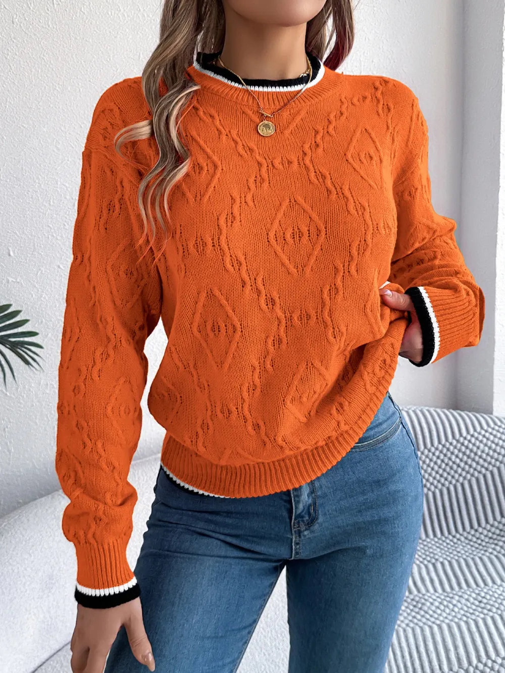 Contrast Trim Round Neck Long Sleeve Sweater, image 9