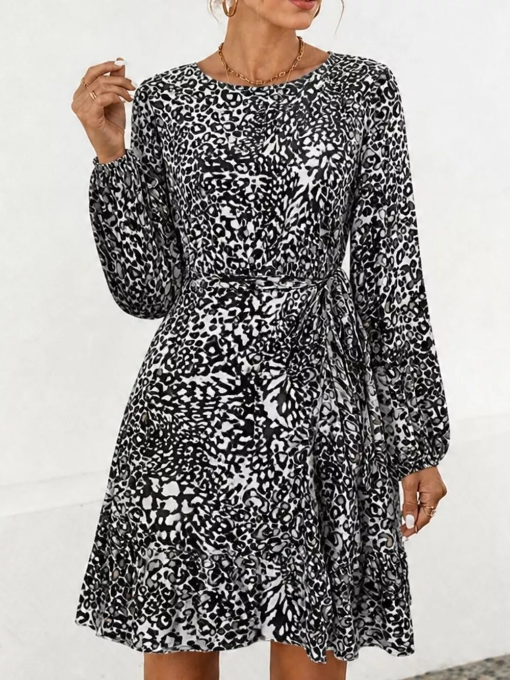Animal Print Round Neck Mini Dress, image 2